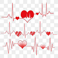 Imagen de sección Salud