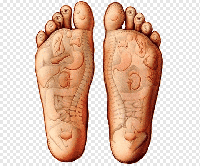 Publicidad en Terapias Holísticas